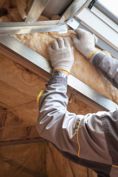 Professional Insulation Contractor in Roland, IA