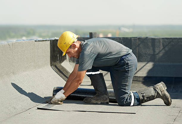 Best Spray Foam Insulation in Roland, IA