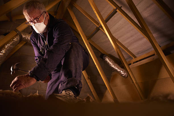 Best Insulation Maintenance and Repair in Roland, IA