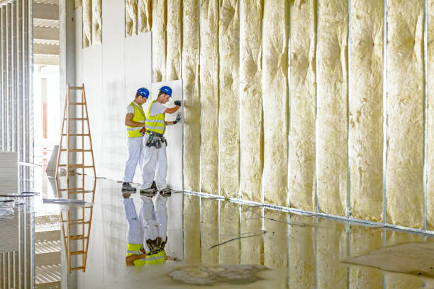 Best Cellulose Insulation in Roland, IA